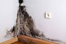 Why Dry Fogging For Mold Remediation