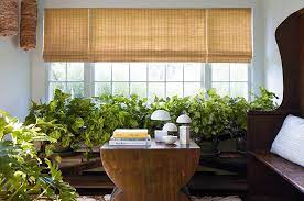 your guide to woven window shades the