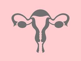 Ovarian Cancer Screening Isnt As Simple As Getting An
