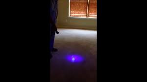 pet urine stains using a uv flashlight