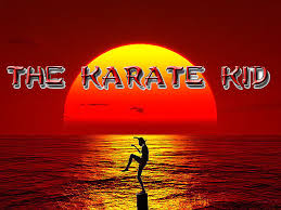 Image result for cobra kai