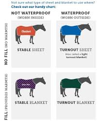Blankets 101 Smartpak Blog
