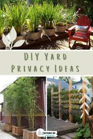 Diy Privacy Screen To Your Yard Deck