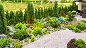 Backyard Landscaping Ideas Without