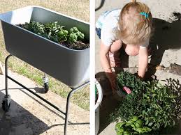 A Portable Herb Garden How To Pick