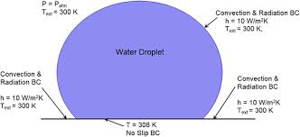A Water Droplet Pinning And Heat Transfer Characteristics On