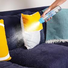 1001 carpet stain removers cleaners or