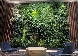 Vertical Gardens Vertical Garden Nz