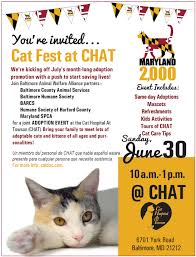Looking for a kitten or cat in baltimore, maryland? Catfest Maryland 2000 Kick Off Event The Humane Society Of Harford County