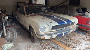 rare 1965 shelby gt350 rescued from