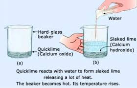 characteristics of chemical reaction