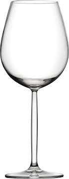 Large Plastic Wine Glasses Sommelier