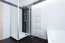 Frameless Glass Shower Door