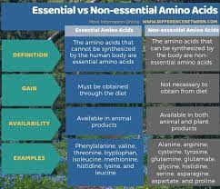 Medical definition of the term nonessential amino acid (also: Difference Between Essential And Non Essential Amino Acids Compare The Difference Between Similar Terms