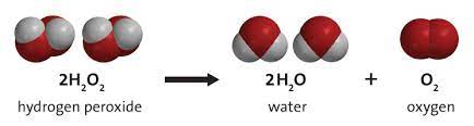 the decomposition of hydrogen peroxide