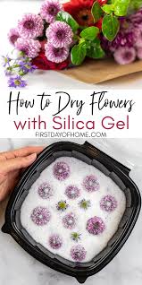 But a steady diet of tuna prepared for humans can lead to malnutrition because it won't have all the nutrients a cat needs. How To Use Silica Gel For Drying Flowers Complete Guide