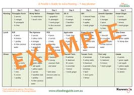 Example Of Daily Planner Magdalene Project Org