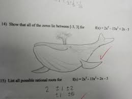    best Funny hw answers images on Pinterest   Funny stuff  Funny    