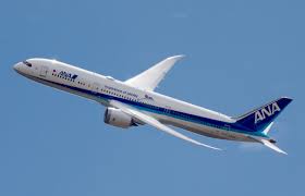 Image result for boeing 787-10 dreamliner