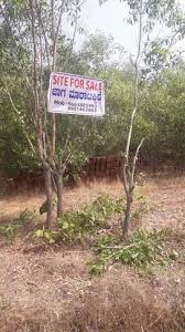 120 acres agriculture land available for sale in tirumalapur and gunded village 7 km right side from balanagar on bangalore hyderabad. Agriculture Land Lands Plots For Sale In Karkal Olx
