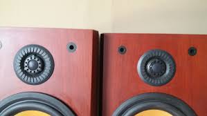 vine b w p5 speakers audio