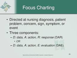 Documentation Of Nursing Care Ppt Download