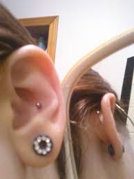 Conch piercing or middle cartilage piercing. Inner Conch Piercing Front Back By Animalshelterlover On Deviantart