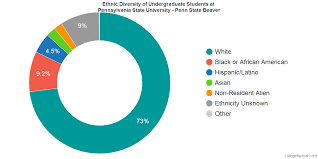 Pennsylvania State University Beaver Diversity Racial
