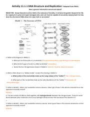 Dna and rna answer key worksheets kiddy math dna and rna structure worksheet answer key with replication dna diagram luxury dna replication worksheet with. 6 2 Application Dna Structure 21 Pdf Activity 11 1 1 Dna Structure And Replication Adapted From Pogil How Is Genetic Information Stored And Copied Course Hero