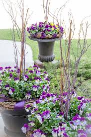 Container Gardening Flowers