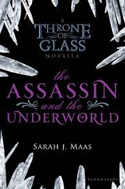 She was standing in front of the crown prince of. The Assassin And The Underworld By Sarah J Maas
