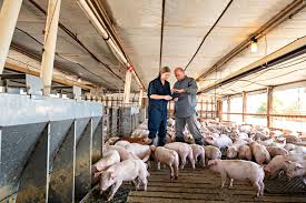 Pork Production & Management - Pork Checkoff