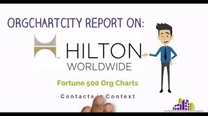 Hilton Org Charts Video By Orgchartcity Youtube