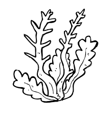 You might also be interested in coloring pages from finding nemo. Online Coloring Pages Coloring Page Sea Weed Algae Coloring Download And Print Free