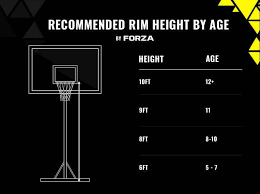 basketball hoop heights what net