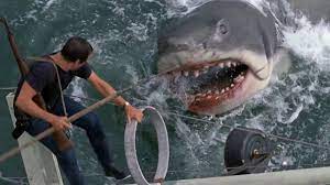 En direct | Cinéma : Spielberg raconte ses regrets pour les requins après  "Les dents de la mer" | La Provence