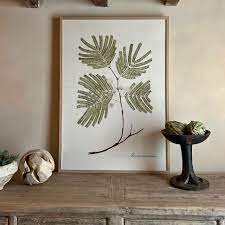 Extra Large Botanical Artwork Mimosa
