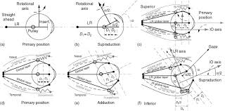 15° 35° 20 miles α β b a h γ c learn. Trigonometry An Overview Sciencedirect Topics