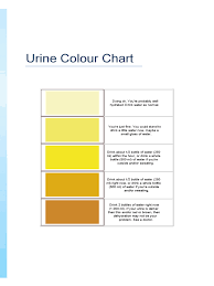 2019 Urine Color Chart Template Fillable Printable Pdf