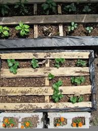 How To Make Raised Wood Pallet Garden Bed