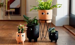 Fun Indoor Planters Small Quirky