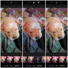 Picsart photo & video editor 18.4.5. Apk Picsart Premium Mod Apk Download Latest 2020