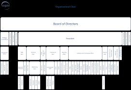 Organizational Chart Xegate Co