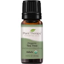 plant therapy organic tea tree oil