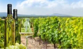 Homegrown Wine Brands In India O