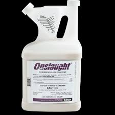 Onslaught Microencapsulated Insecticide For Professionals