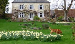 Seasons In My French Country Garden