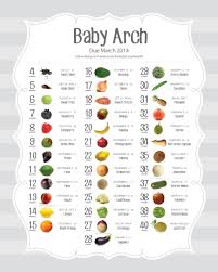 Pregnancy Fruit Weeks Chart For Pregnancy Food Chart