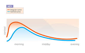 How To Balance Your Cortisol Levels Experience Life