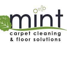 mint carpet cleaning updated may 2024